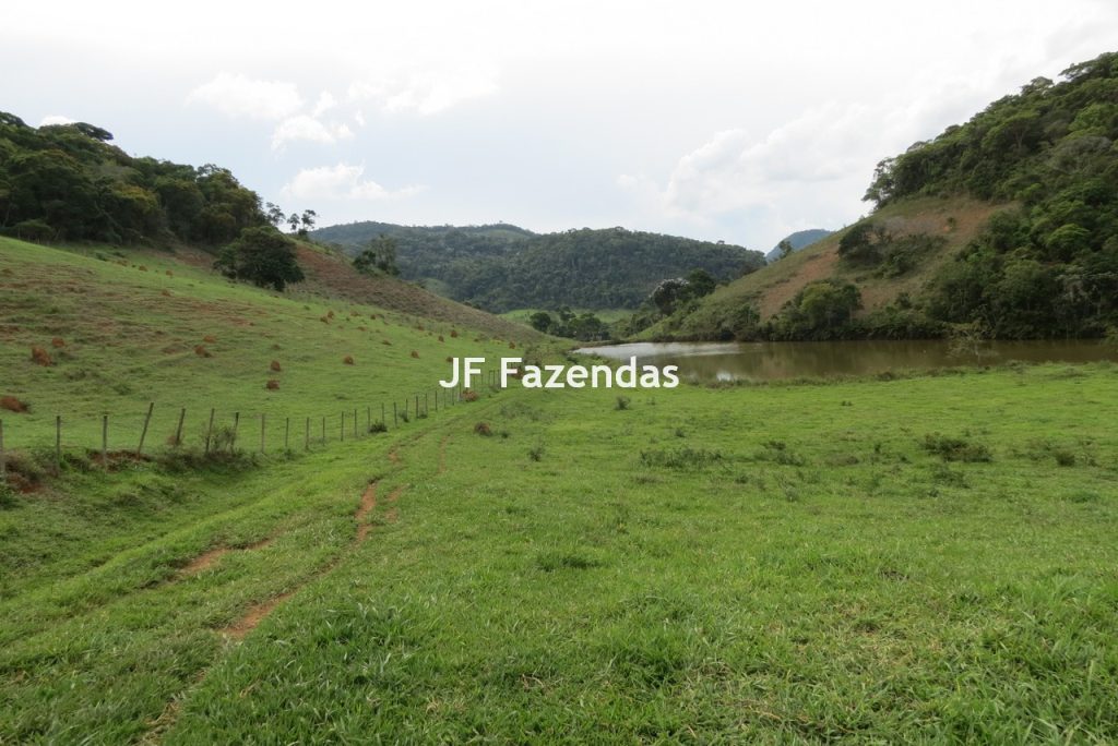 Fazenda em São João Nepomucendo – MG – 230 hectares