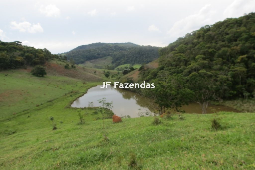 Fazenda em São João Nepomucendo – MG – 230 hectares