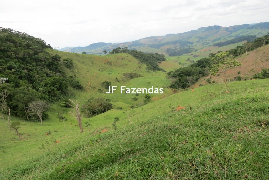 Fazenda em São João Nepomucendo – MG – 230 hectares