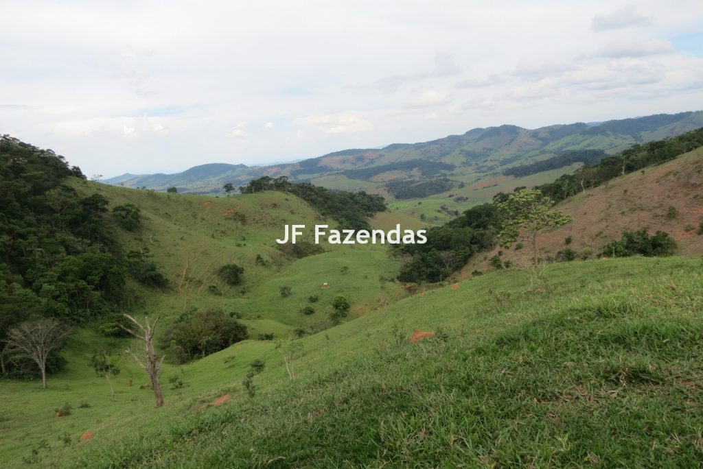 Fazenda em São João Nepomucendo – MG – 230 hectares