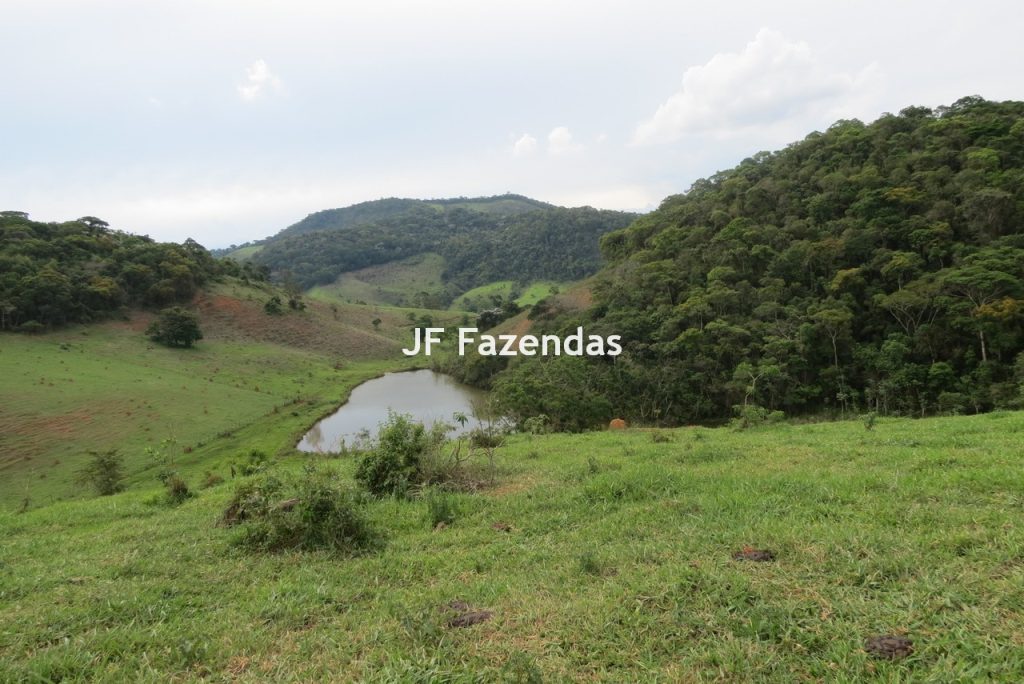 Fazenda em São João Nepomucendo – MG – 230 hectares