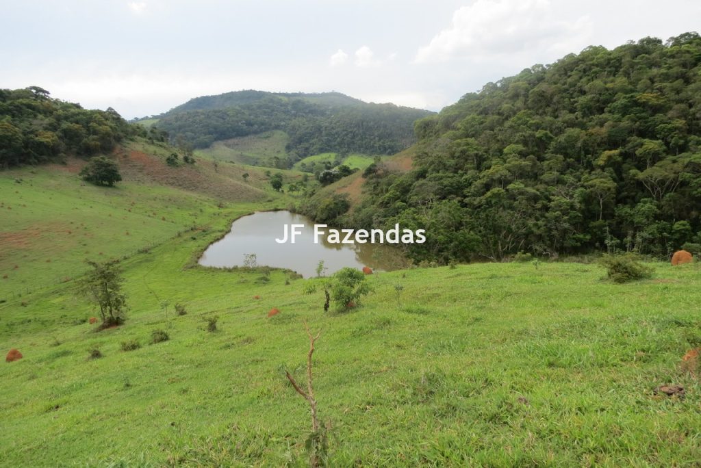 Fazenda em São João Nepomucendo – MG – 230 hectares