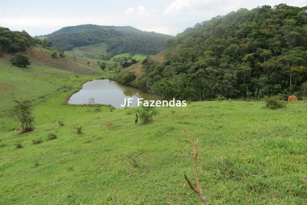 Fazenda em São João Nepomucendo – MG – 230 hectares