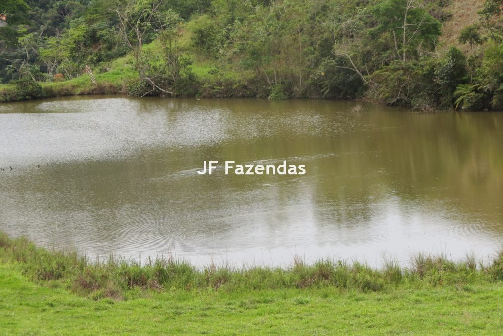 Fazenda em São João Nepomucendo – MG – 230 hectares