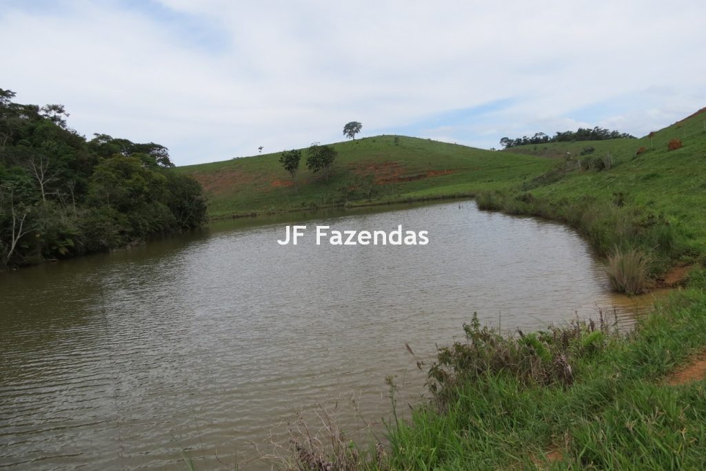 Fazenda em São João Nepomucendo – MG – 230 hectares