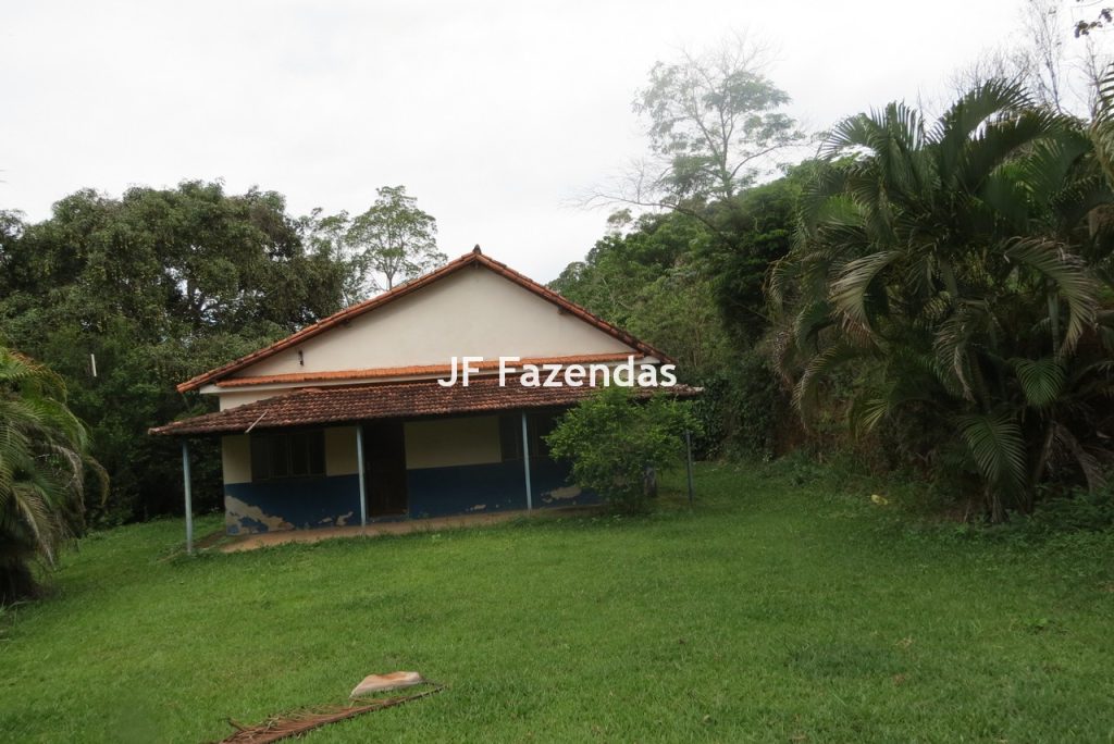 Fazenda em São João Nepomucendo – MG – 230 hectares