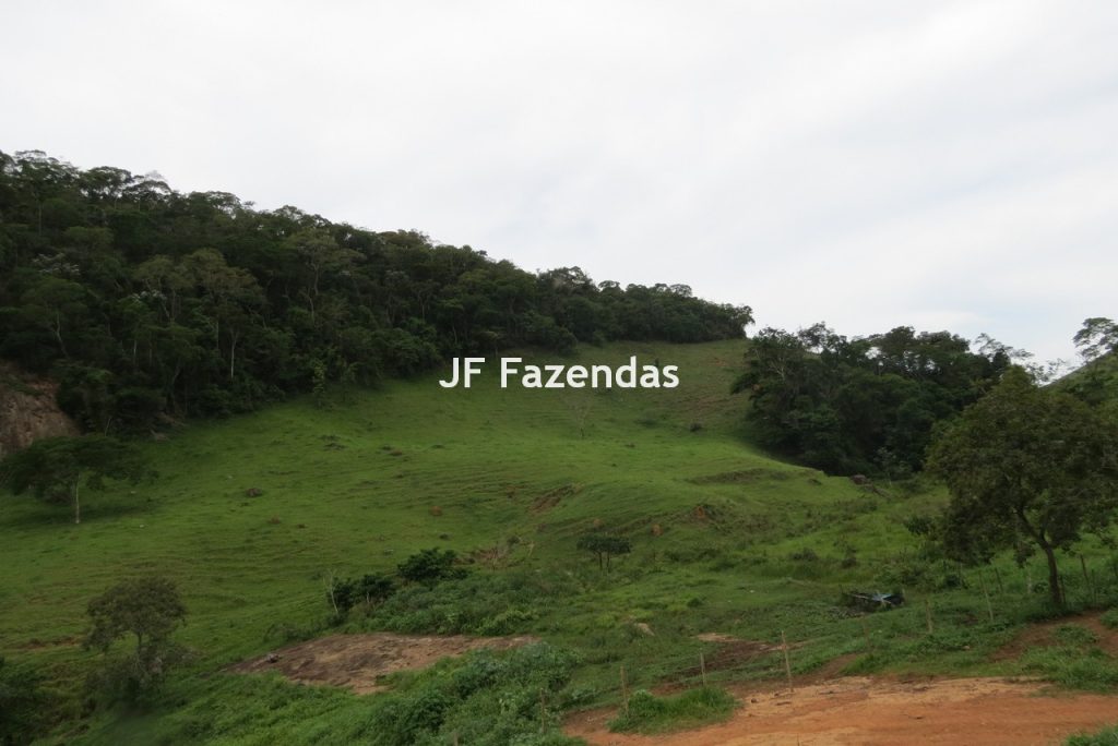 Fazenda em São João Nepomucendo – MG – 230 hectares