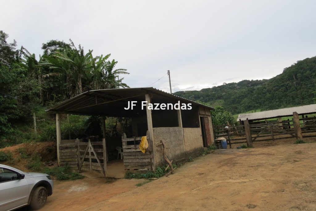 Fazenda em São João Nepomucendo – MG – 230 hectares