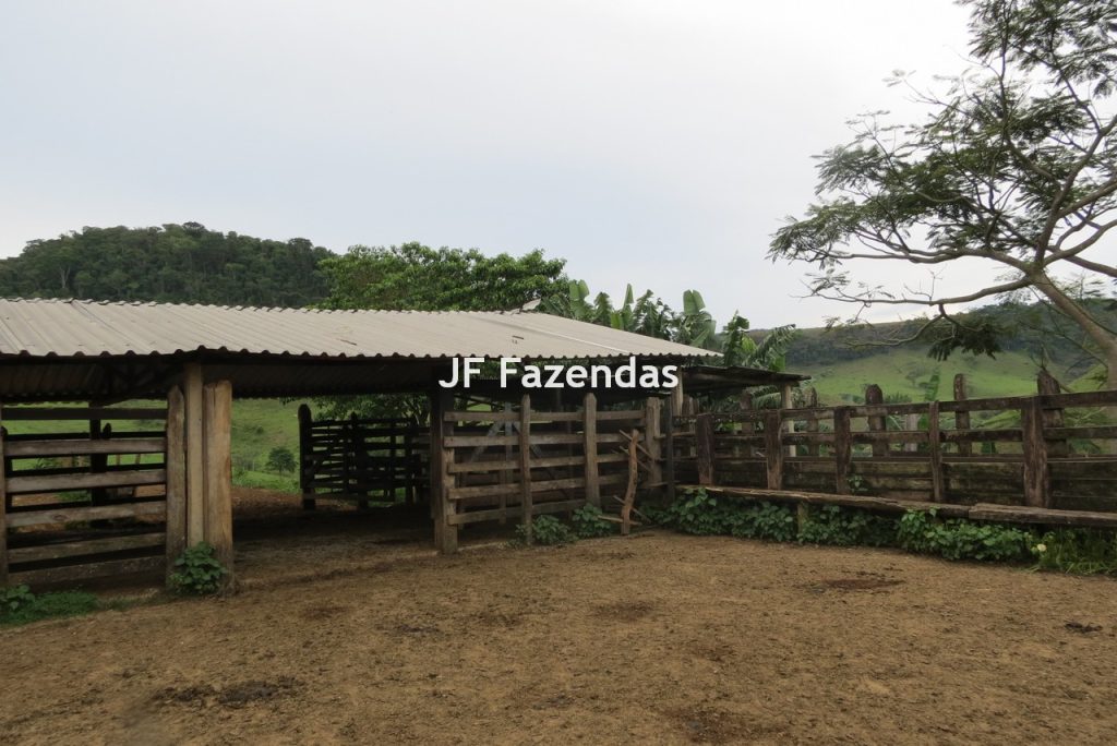 Fazenda em São João Nepomucendo – MG – 230 hectares