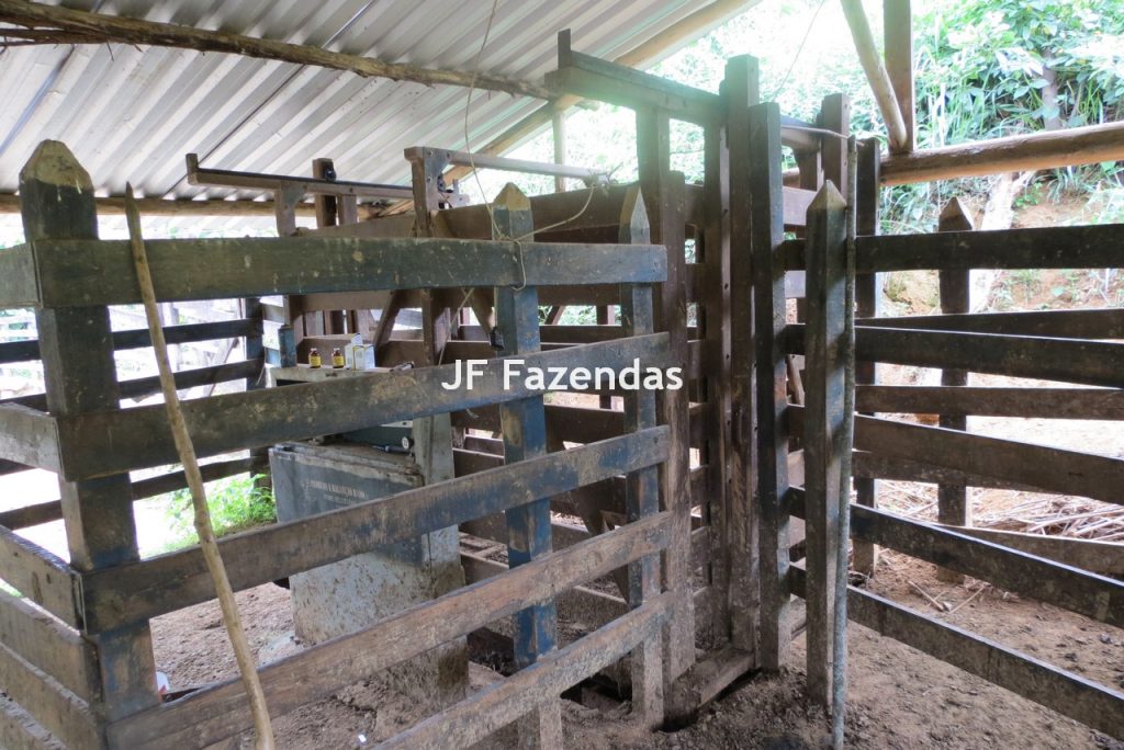 Fazenda em São João Nepomucendo – MG – 230 hectares