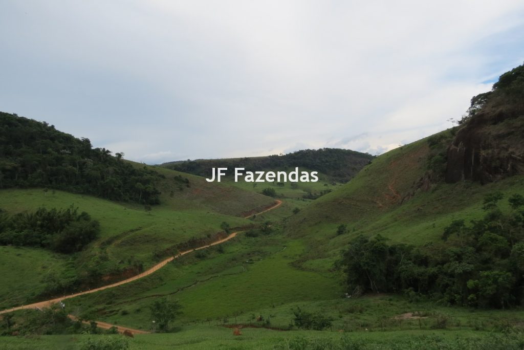 Fazenda em São João Nepomucendo – MG – 230 hectares