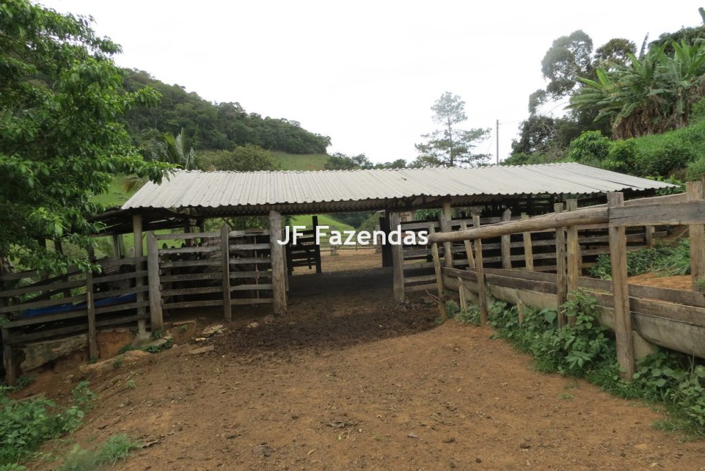 Fazenda em São João Nepomucendo – MG – 230 hectares