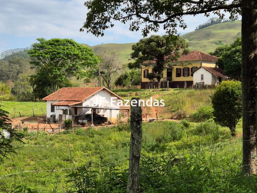 Sítio em Piau- MG – 56 hectares