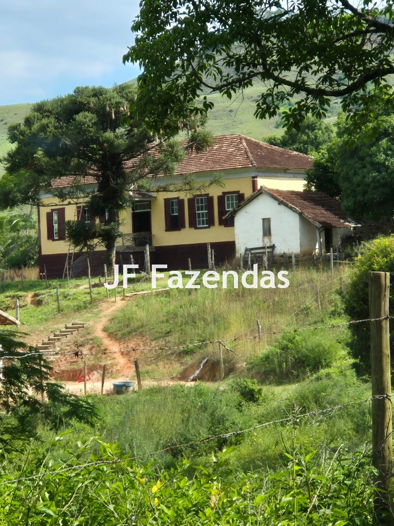 Sítio em Piau- MG – 56 hectares