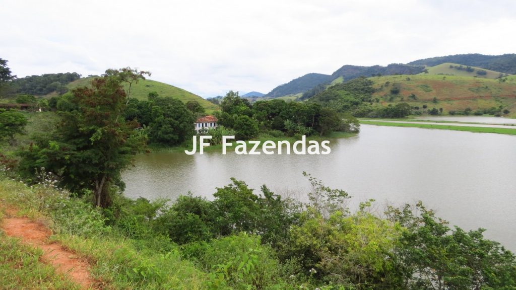 Fazenda em São João Nepomuceno – MG – 180 hectares Fazenda em São João Nepomuceno – MG – 180 hectares