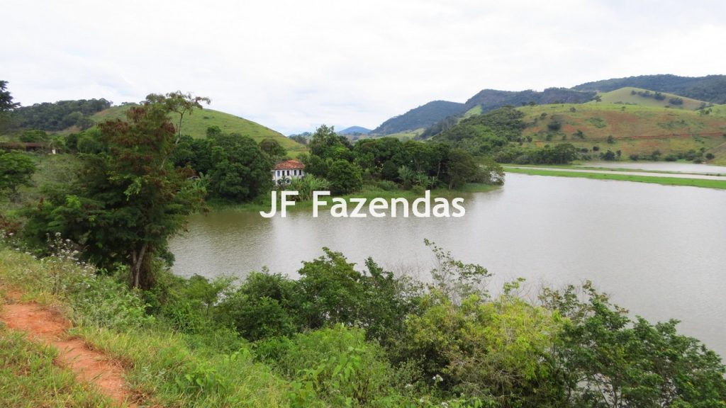 Fazenda em São João Nepomuceno – MG – 180 hectares Fazenda em São João Nepomuceno – MG – 180 hectares