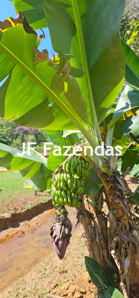 Sitio/Pousada em Bicas/MG 9.500 m²