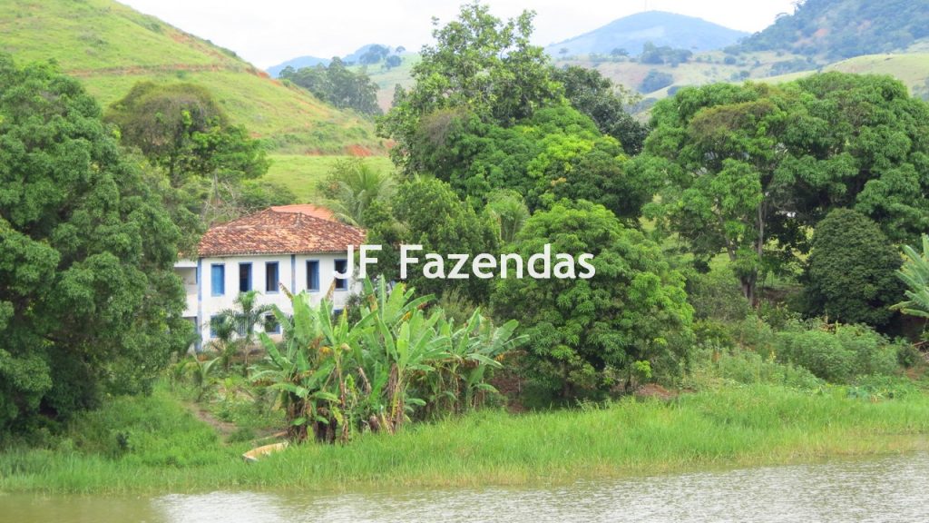 Fazenda em São João Nepomuceno – MG – 180 hectares Fazenda em São João Nepomuceno – MG – 180 hectares