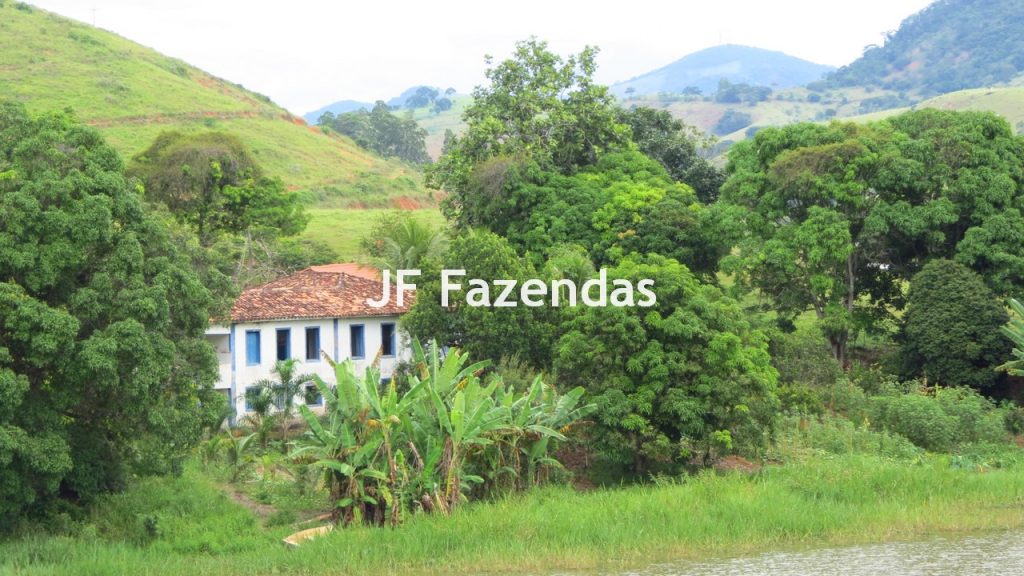 Fazenda em São João Nepomuceno – MG – 180 hectares Fazenda em São João Nepomuceno – MG – 180 hectares
