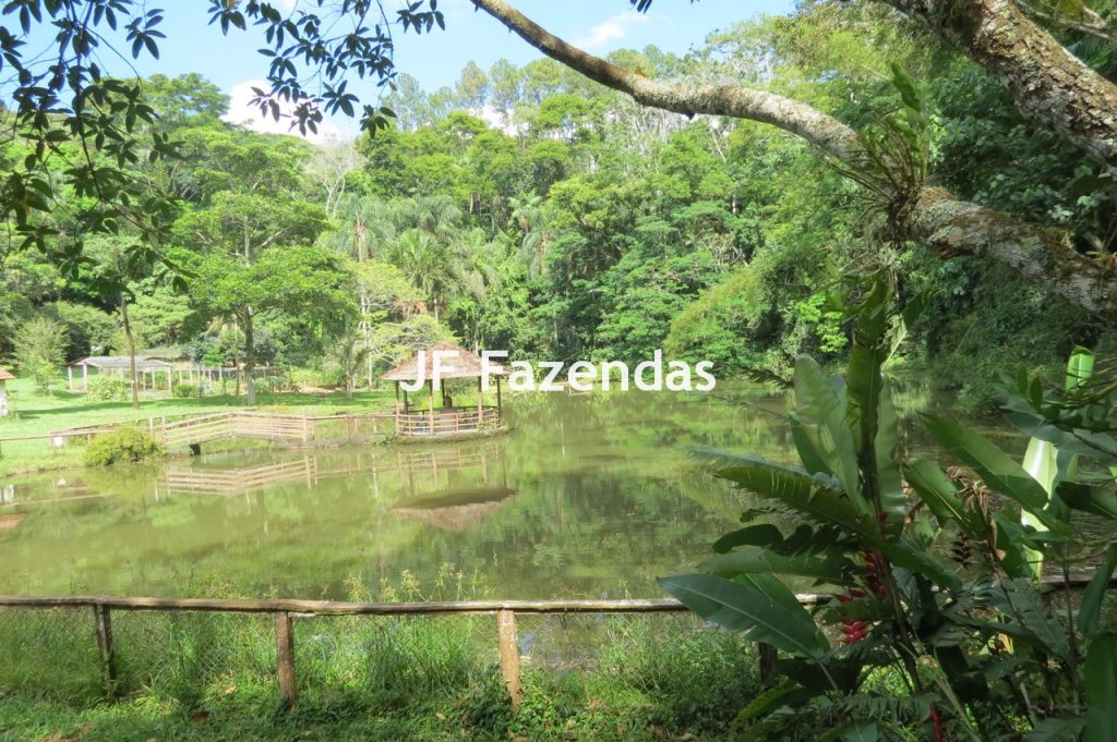 Sítio em Matias Barbosa- MG – 27.3 hectares Sítio em Matias Barbosa- MG – 27.3 hectares