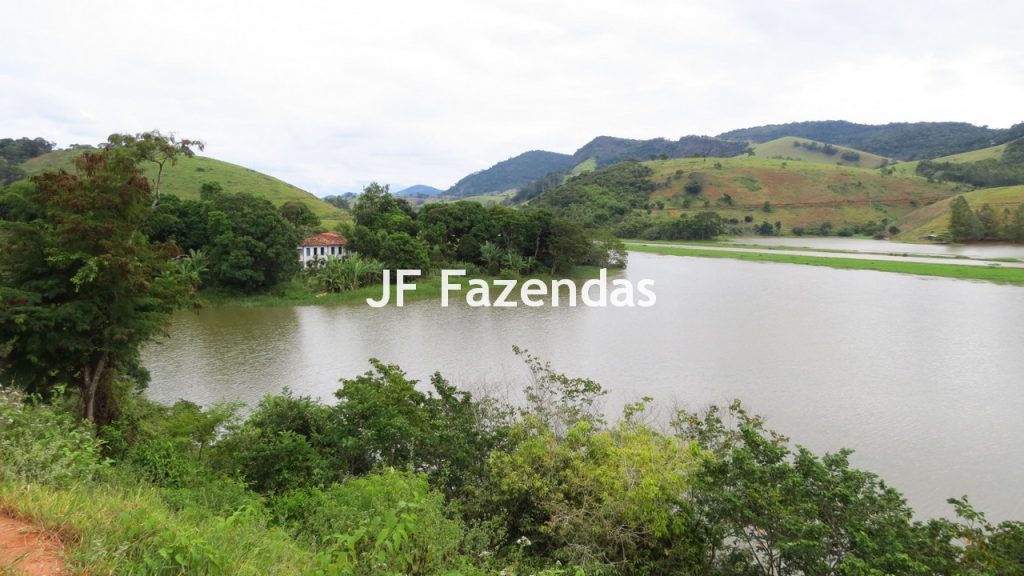Fazenda em São João Nepomuceno – MG – 180 hectares Fazenda em São João Nepomuceno – MG – 180 hectares
