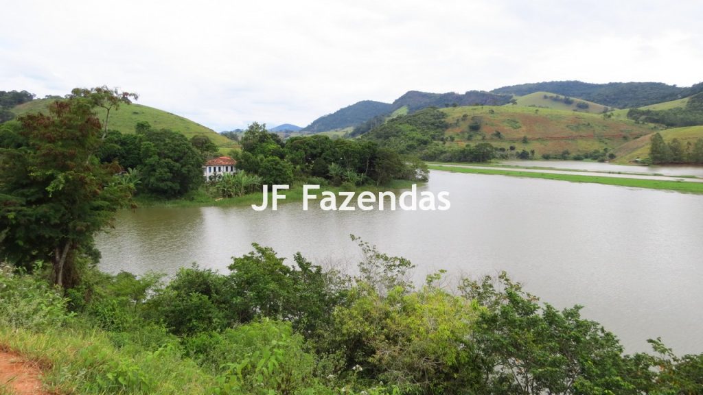 Fazenda em São João Nepomuceno – MG – 180 hectares Fazenda em São João Nepomuceno – MG – 180 hectares