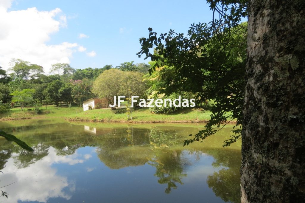 Sítio em Matias Barbosa- MG – 27.3 hectares Sítio em Matias Barbosa- MG – 27.3 hectares