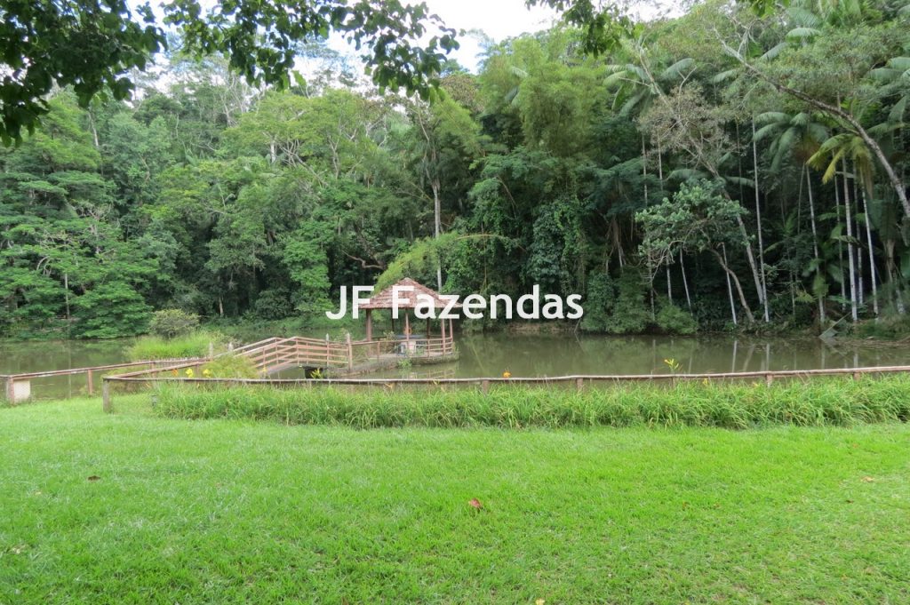 Sítio em Matias Barbosa- MG – 27.3 hectares Sítio em Matias Barbosa- MG – 27.3 hectares