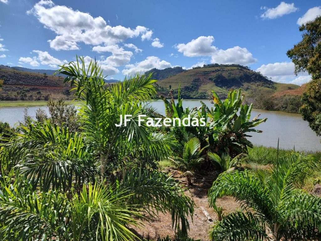 Fazenda em São João Nepomuceno – MG – 180 hectares Fazenda em São João Nepomuceno – MG – 180 hectares