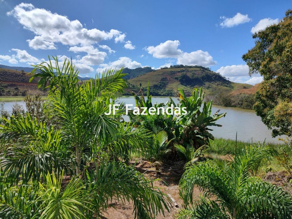 Fazenda em São João Nepomuceno – MG – 180 hectares Fazenda em São João Nepomuceno – MG – 180 hectares