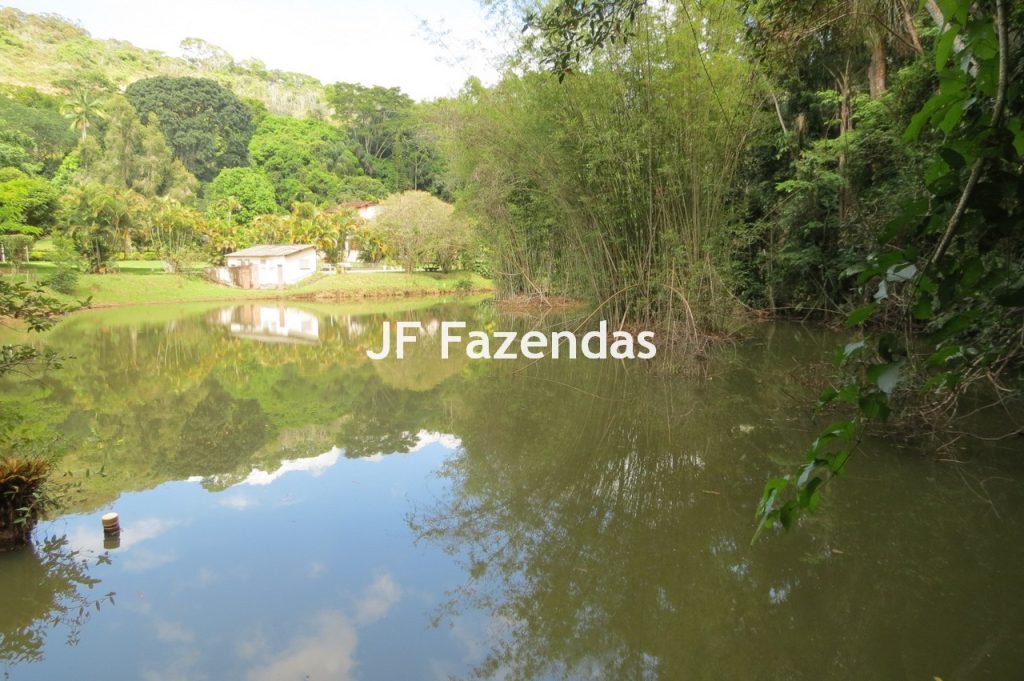 Sítio em Matias Barbosa- MG – 27.3 hectares Sítio em Matias Barbosa- MG – 27.3 hectares