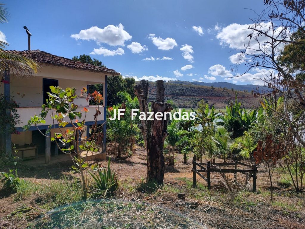 Fazenda em São João Nepomuceno – MG – 180 hectares Fazenda em São João Nepomuceno – MG – 180 hectares