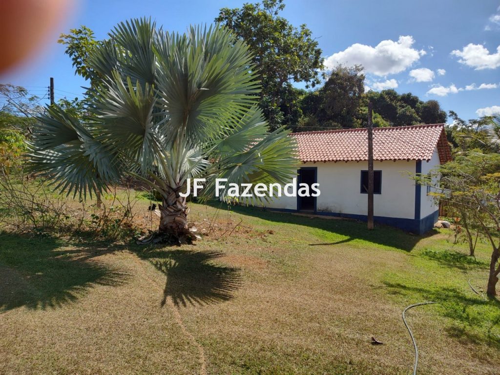 Fazenda em São João Nepomuceno – MG – 180 hectares Fazenda em São João Nepomuceno – MG – 180 hectares