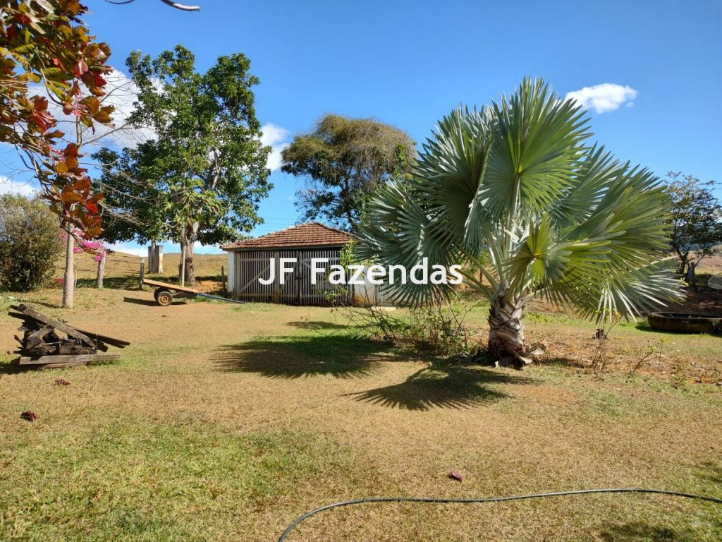 Fazenda em São João Nepomuceno – MG – 180 hectares Fazenda em São João Nepomuceno – MG – 180 hectares