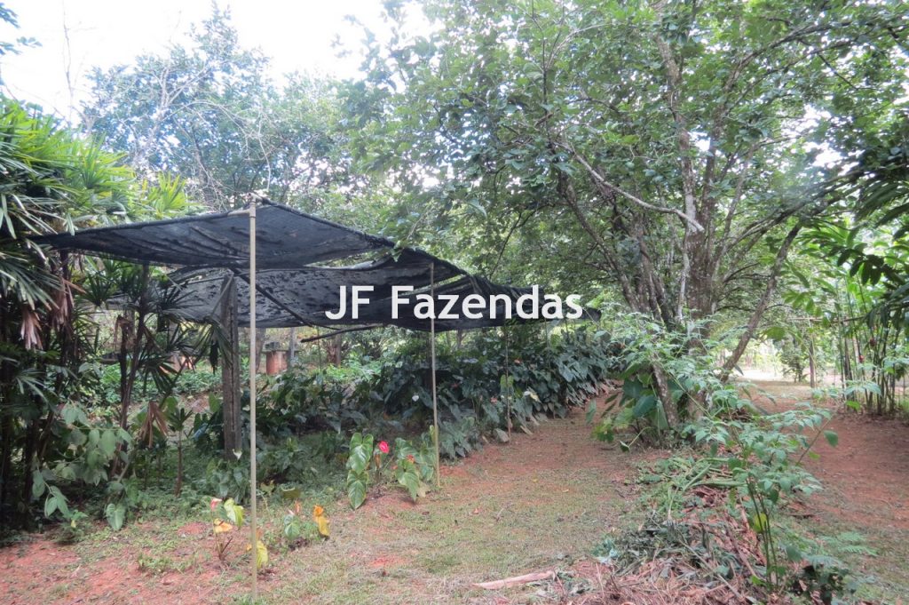 Sítio em Matias Barbosa- MG – 27.3 hectares Sítio em Matias Barbosa- MG – 27.3 hectares