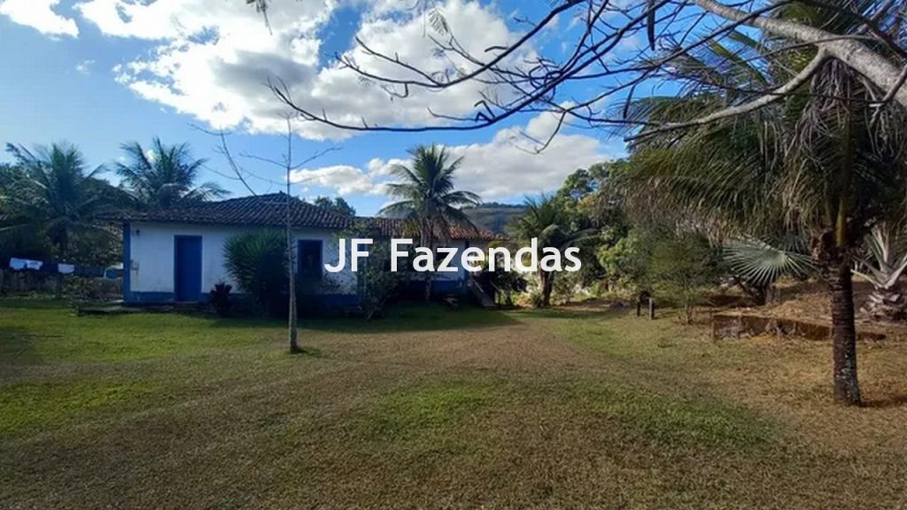 Fazenda em São João Nepomuceno – MG – 180 hectares Fazenda em São João Nepomuceno – MG – 180 hectares