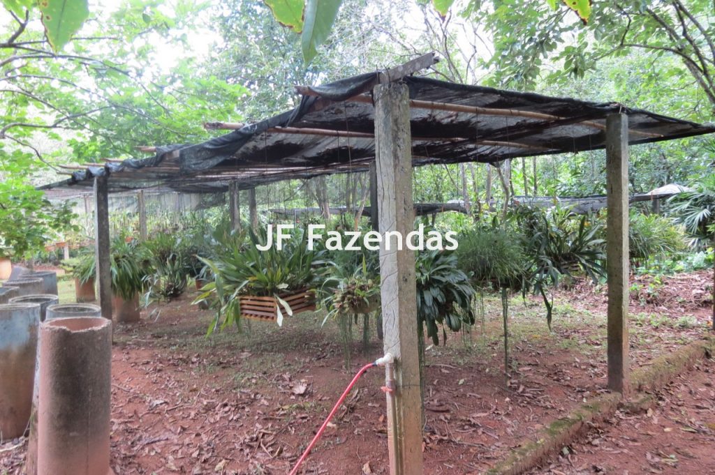 Sítio em Matias Barbosa- MG – 27.3 hectares Sítio em Matias Barbosa- MG – 27.3 hectares