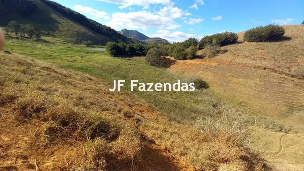 Fazenda em São João Nepomuceno – MG – 180 hectares Fazenda em São João Nepomuceno – MG – 180 hectares