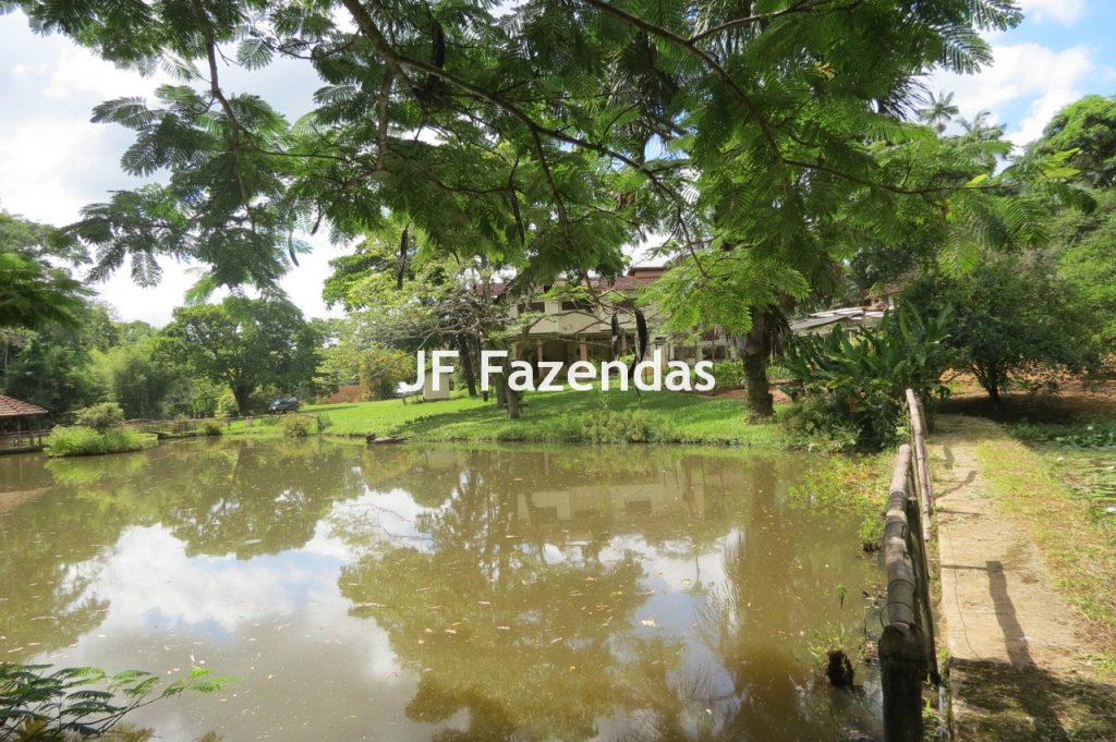 Sítio em Matias Barbosa- MG – 27.3 hectares Sítio em Matias Barbosa- MG – 27.3 hectares