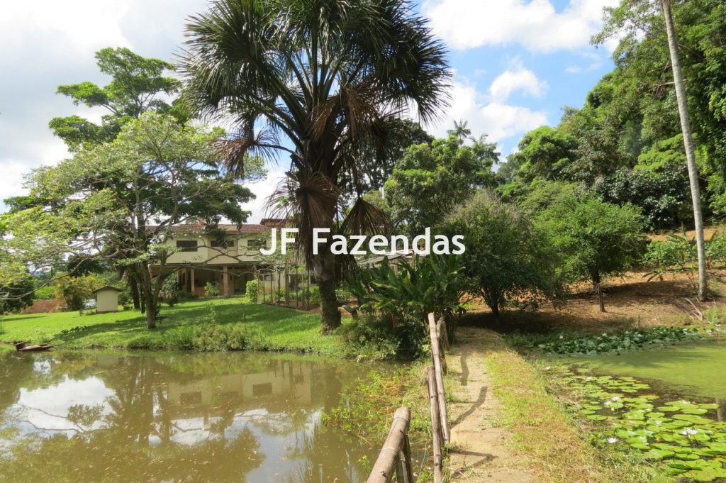 Sítio em Matias Barbosa- MG – 27.3 hectares Sítio em Matias Barbosa- MG – 27.3 hectares