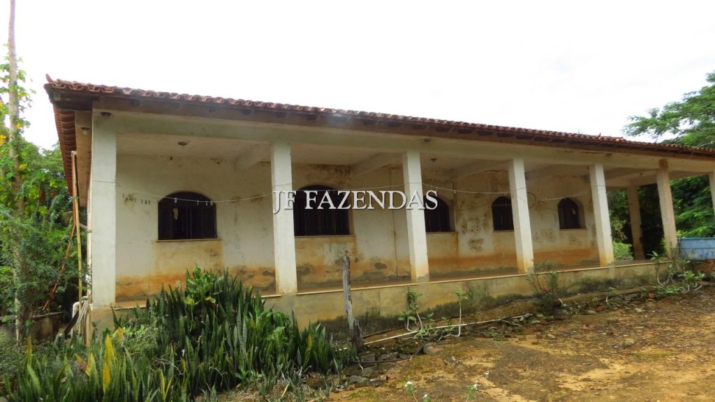 Fazenda em São João Nepomuceno – MG – 302 hectares Fazenda em São João Nepomuceno – MG – 302 hectares