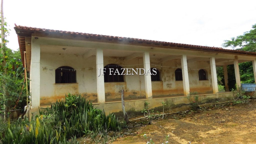 Fazenda em São João Nepomuceno – MG – 302 hectares Fazenda em São João Nepomuceno – MG – 302 hectares