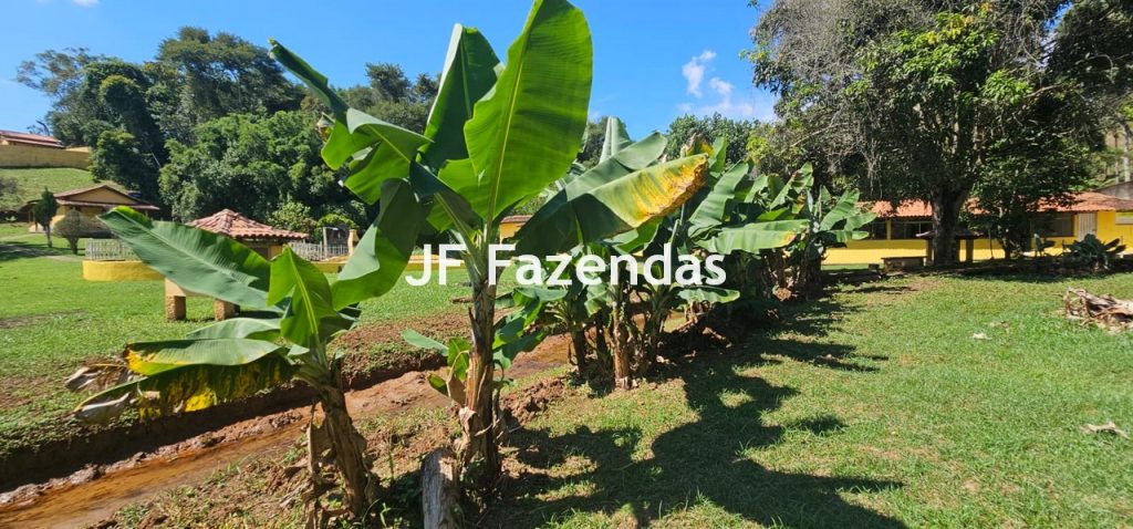 Sitio/Pousada em Bicas/MG 9.500 m²