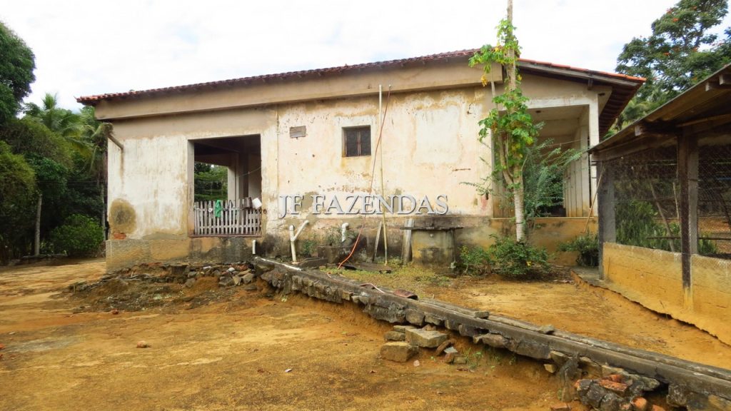 Fazenda em São João Nepomuceno – MG – 302 hectares Fazenda em São João Nepomuceno – MG – 302 hectares