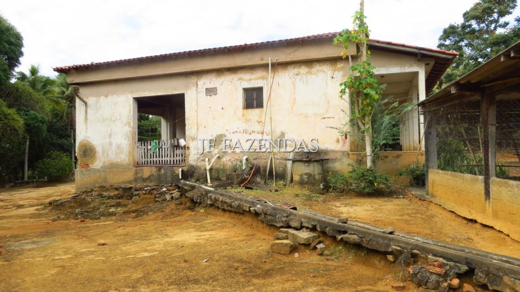 Fazenda em São João Nepomuceno – MG – 302 hectares Fazenda em São João Nepomuceno – MG – 302 hectares