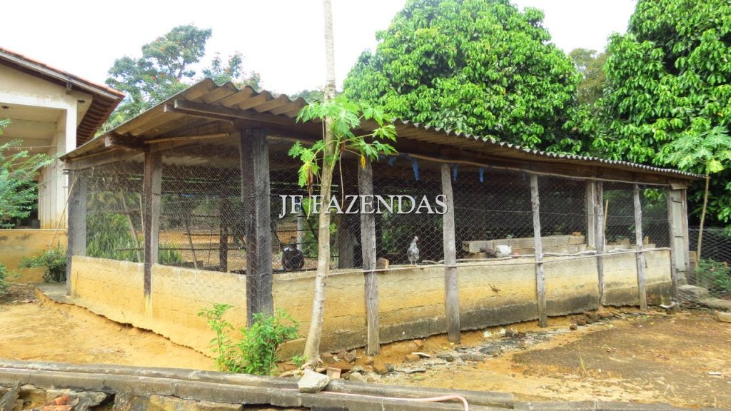 Fazenda em São João Nepomuceno – MG – 302 hectares Fazenda em São João Nepomuceno – MG – 302 hectares