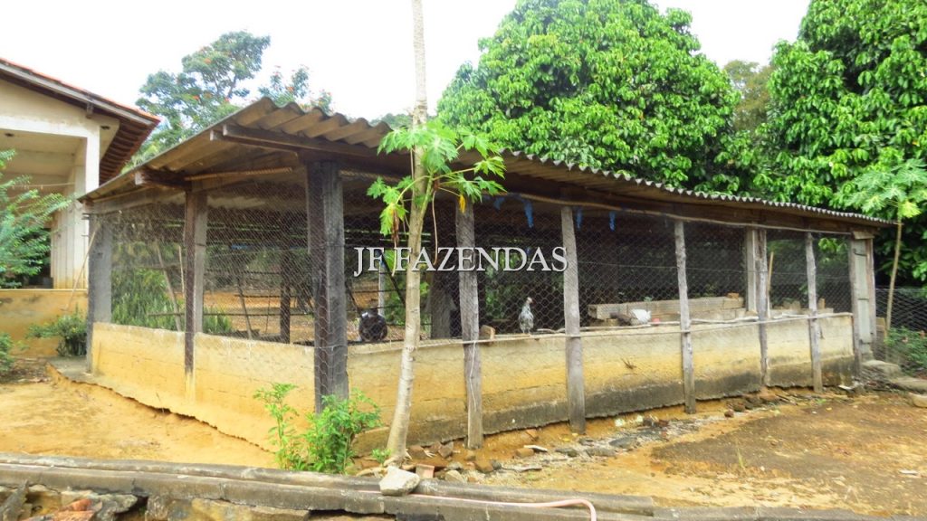 Fazenda em São João Nepomuceno – MG – 302 hectares Fazenda em São João Nepomuceno – MG – 302 hectares