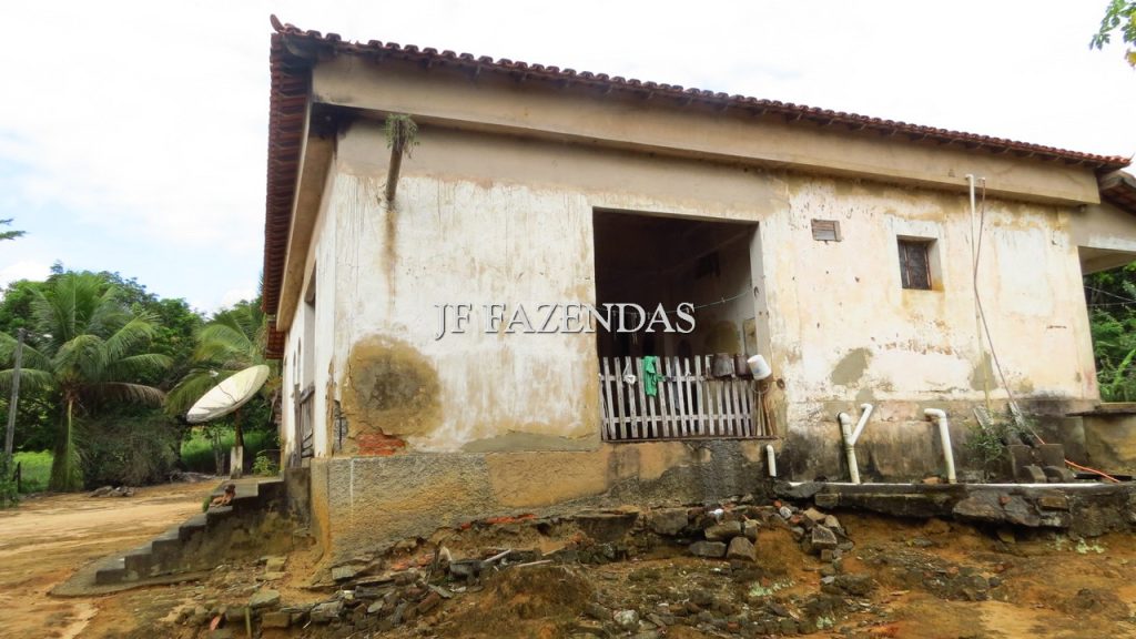 Fazenda em São João Nepomuceno – MG – 302 hectares Fazenda em São João Nepomuceno – MG – 302 hectares