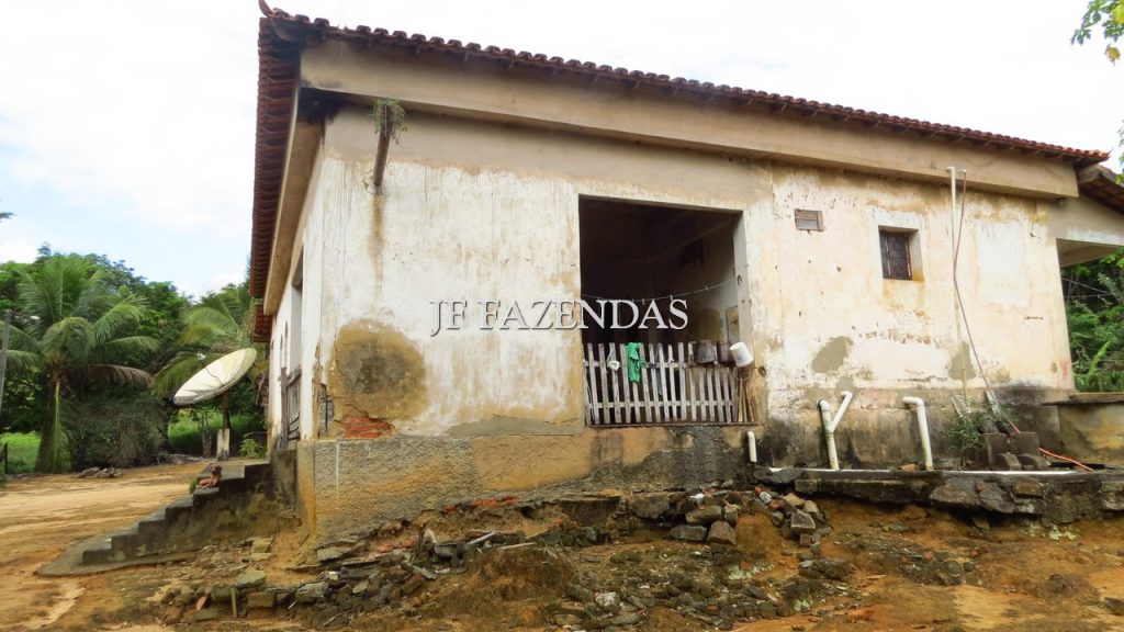 Fazenda em São João Nepomuceno – MG – 302 hectares Fazenda em São João Nepomuceno – MG – 302 hectares