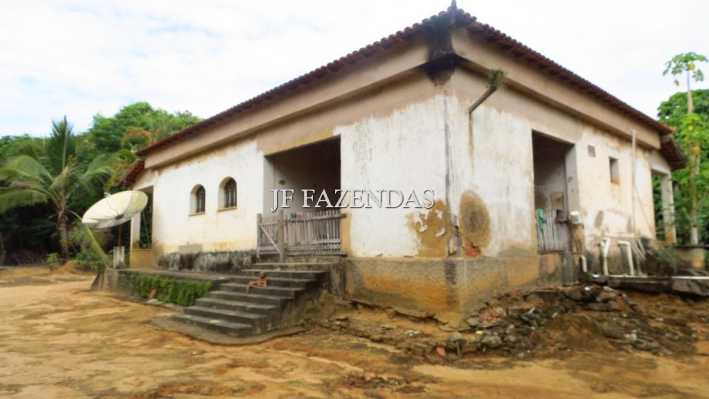 Fazenda em São João Nepomuceno – MG – 302 hectares Fazenda em São João Nepomuceno – MG – 302 hectares
